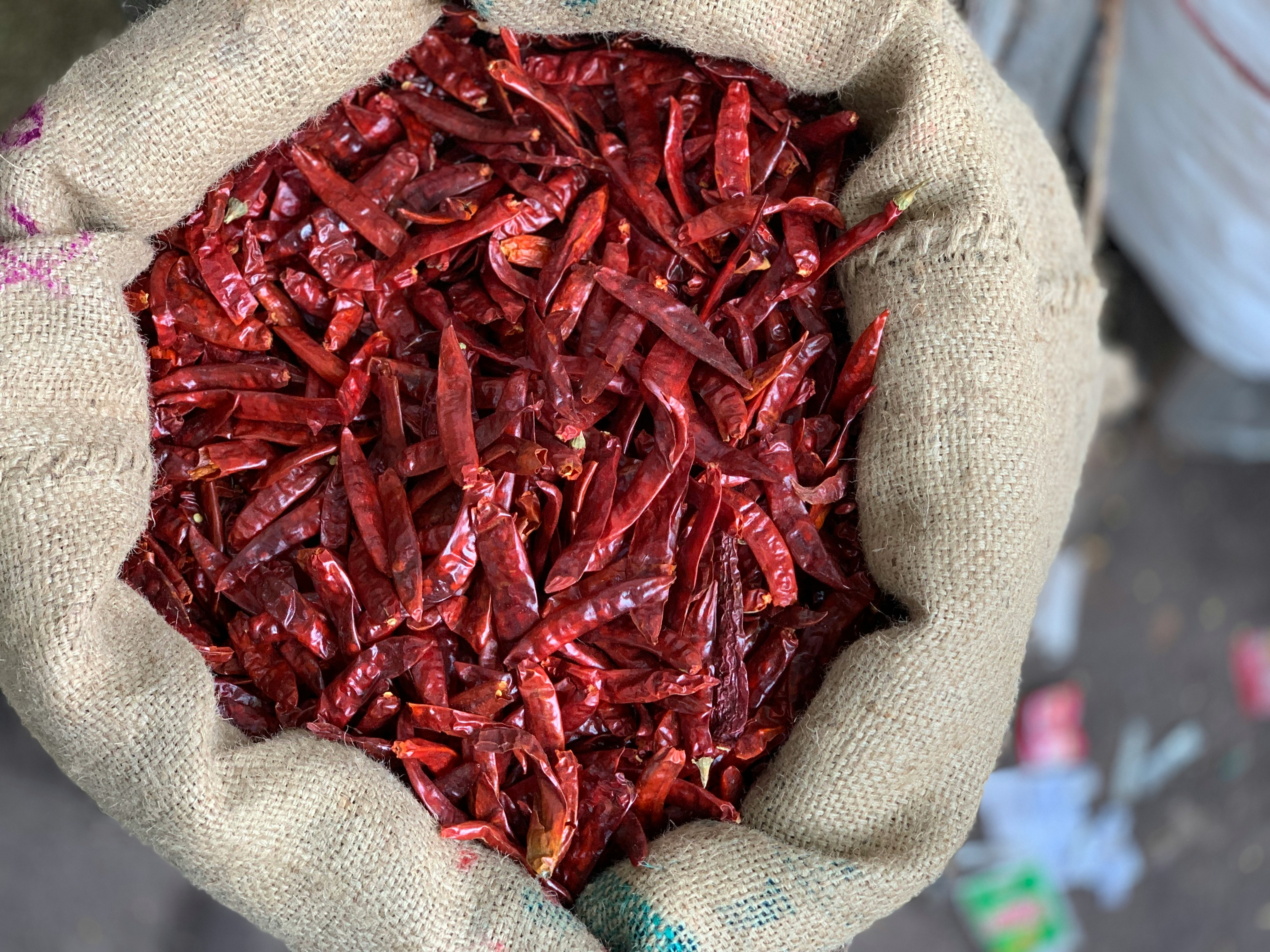 Indian red chilli